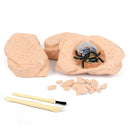 12Pc Junior Dig Kit – Bugs digging kits Iconix