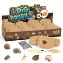 12Pc Junior Dig Kit – Fossils Digging Kits Iconix