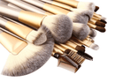 24 Piece Champagne Gold Makeup Brushes Set Iconix