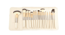 24 Piece Champagne Gold Makeup Brushes Set Iconix