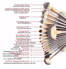 24 Piece Champagne Gold Makeup Brushes Set Iconix