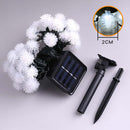 50 LED Solar Dandelion Lights Lighting Iconix