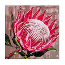 Adult Paint by Numbers with Frame - King Protea Paint By Numbers With Frame Iconix