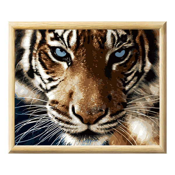 Iconix Paint By Numbers Kit for Adults - Tiger
