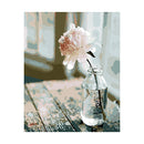 Adult Painting by Numbers - Lonesome Beauty Paint By Numbers Iconix