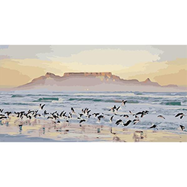 Iconix Paint By Numbers Kit for Adults Table Mountain Morning Glory