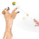 Ball Launcher with a Ball Iconix