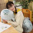 Chubby Seal Plush Toy and Pillow Kids Iconix