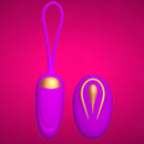 High Quality Silicone Wireless Vibrator Love Egg Iconix