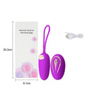 High Quality Silicone Wireless Vibrator Love Egg Iconix