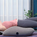 Iconix Inflatable Leg Elevation Pillow with carry bag air pump Travel Accessories Iconix