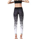 Iconix Ladies Black Ombre Yoga Leggings Leggings Iconix