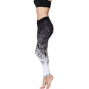 Iconix Ladies Black Ombre Yoga Leggings Leggings Iconix