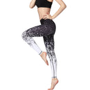 Iconix Ladies Black Ombre Yoga Leggings Leggings Iconix