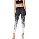 Iconix Ladies Black Ombre Yoga Leggings Leggings Iconix