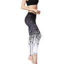 Iconix Ladies Black Ombre Yoga Leggings Leggings Iconix