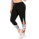 Iconix Plus Size Ladies Black Interlude Leggings Plus Size Leggings Iconix