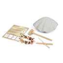 Junior Archaeology Dig Kit – Seashells digging kits Iconix
