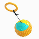 Multifunctional Dog Ball Iconix