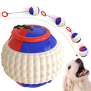 Multifunctional Dog Ball Iconix