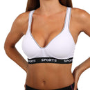 Pack of 6 Colour Wireless Sports Bra's - 8911 (Limited Sizes Available) Fashion Iconix