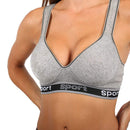 Pack of 6 Colour Wireless Sports Bra's - 8913/8915 (Limited Sizes Available) Fashion Iconix