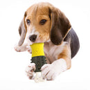 Popsicle Chew Toy for Dogs Iconix