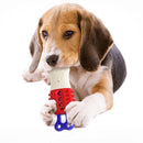 Popsicle Chew Toy for Dogs Iconix