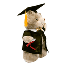 Graduation Plush Teddy Bear Toy