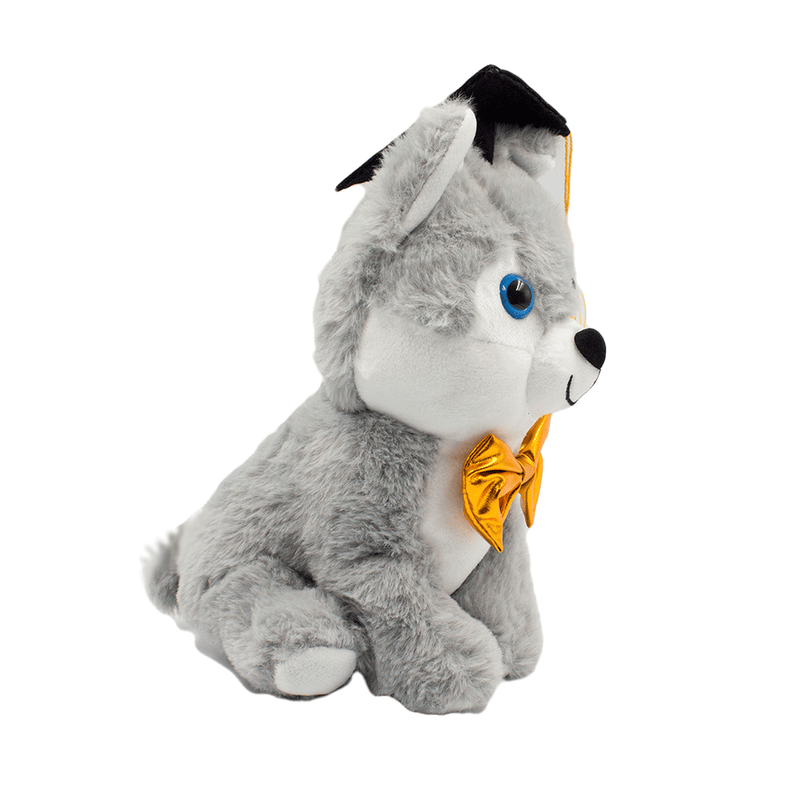 Graduation Plush Dog Toy