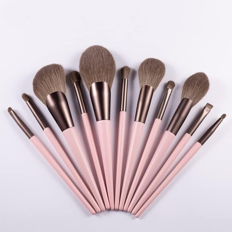 11 Piece Pink Matte Makeup Brush Set