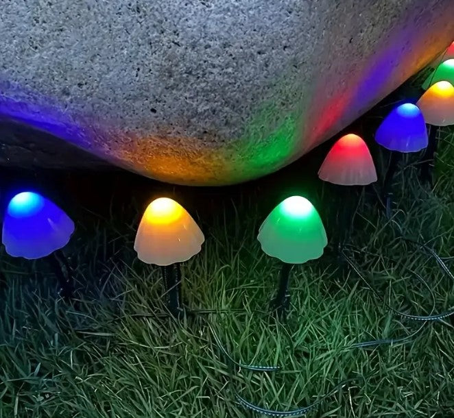 Iconix 5m 20 LED Mushroom String  Lights