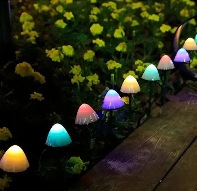 Iconix 5m 20 LED Mushroom String  Lights