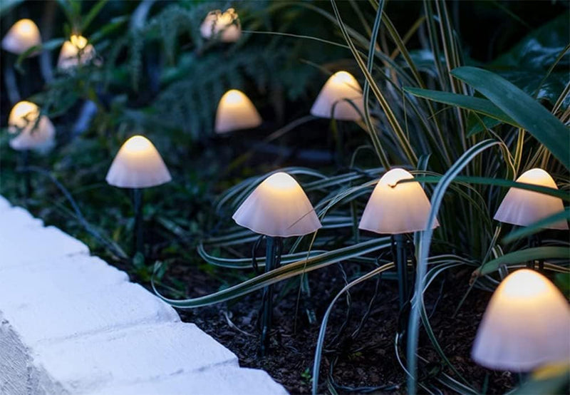 Iconix 5m 20 LED Mushroom String  Lights