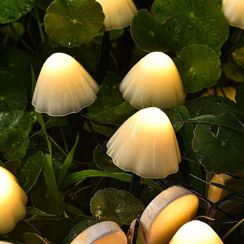 Iconix 5m 20 LED Mushroom String  Lights