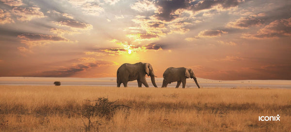 Elephants at Dusk Full Desk XL Coverage Gaming and Office Mouse Pad