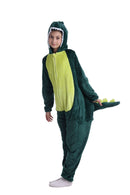 Kids Winter Green Dinosaur Onesie with Zip