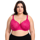 Pack of 6 Colour Wired Lace Bra's - 3903