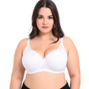 Pack of 6 Colour Wired Lace Bra's - 3903