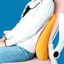 Lumbar Back Support Memory Foam Cushion for Office, Study, or Car