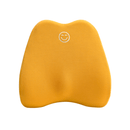 Lumbar Back Support Memory Foam Cushion for Office, Study, or Car