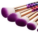 11 Piece Makeup Brushes Set | Purple Tip Brushes, Rainbow Colour Handles Iconix 