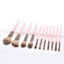 11-Piece Pink Matte Makeup Brush Set Makeup Brush Iconix 