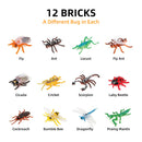12Pc Junior Dig Kit – Bugs digging kits Iconix 