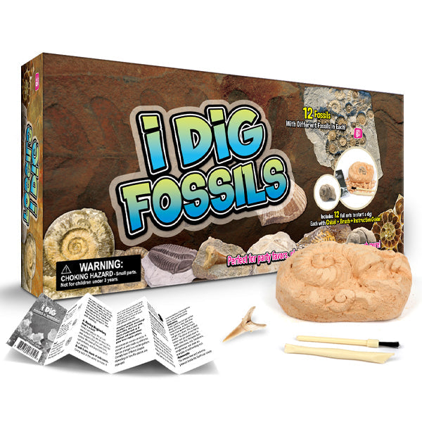 12Pc Junior Dig Kit – Fossils Digging Kits Iconix 