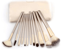 24 Piece Champagne Gold Makeup Brushes Set Iconix 