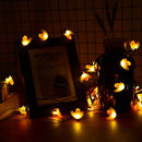 30 LED Honey Bee Solar lights Lighting Iconix 