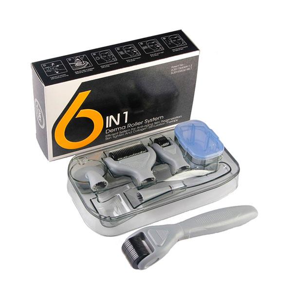6-in-1 Derma Roller Set