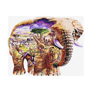 Adult Paint by Numbers with Frame - African Giant Paint By Numbers With Frame Iconix 