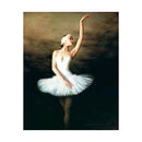 Adult Paint by Numbers with Frame - Ballerina Girl Paint By Numbers With Frame Iconix 